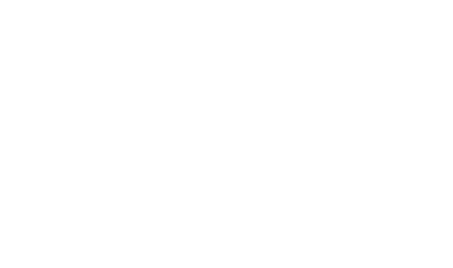 Renault Otomobil Kalorifer Temizliği